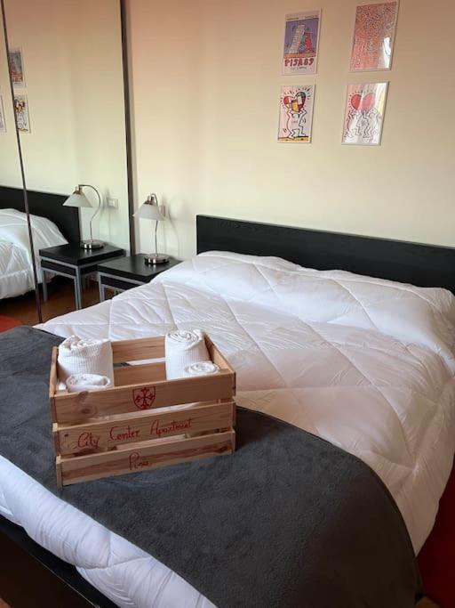 Apartment Center Pisa