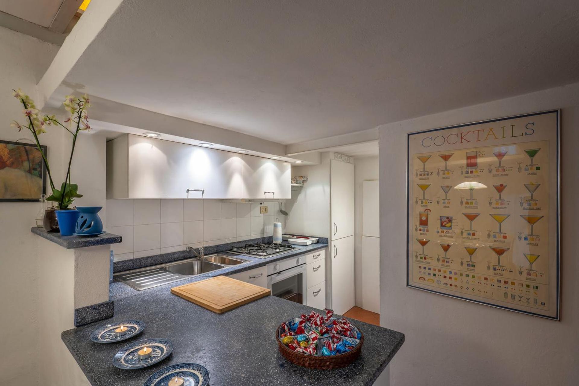 Le Volte Air Conditioned Loft Pisa