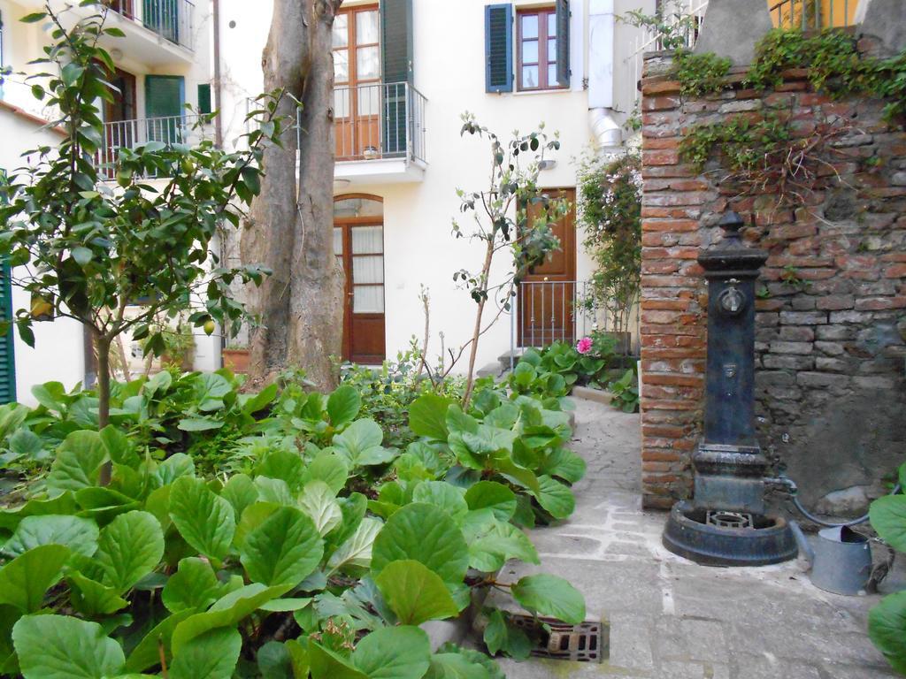 Aparthotel Domus *
