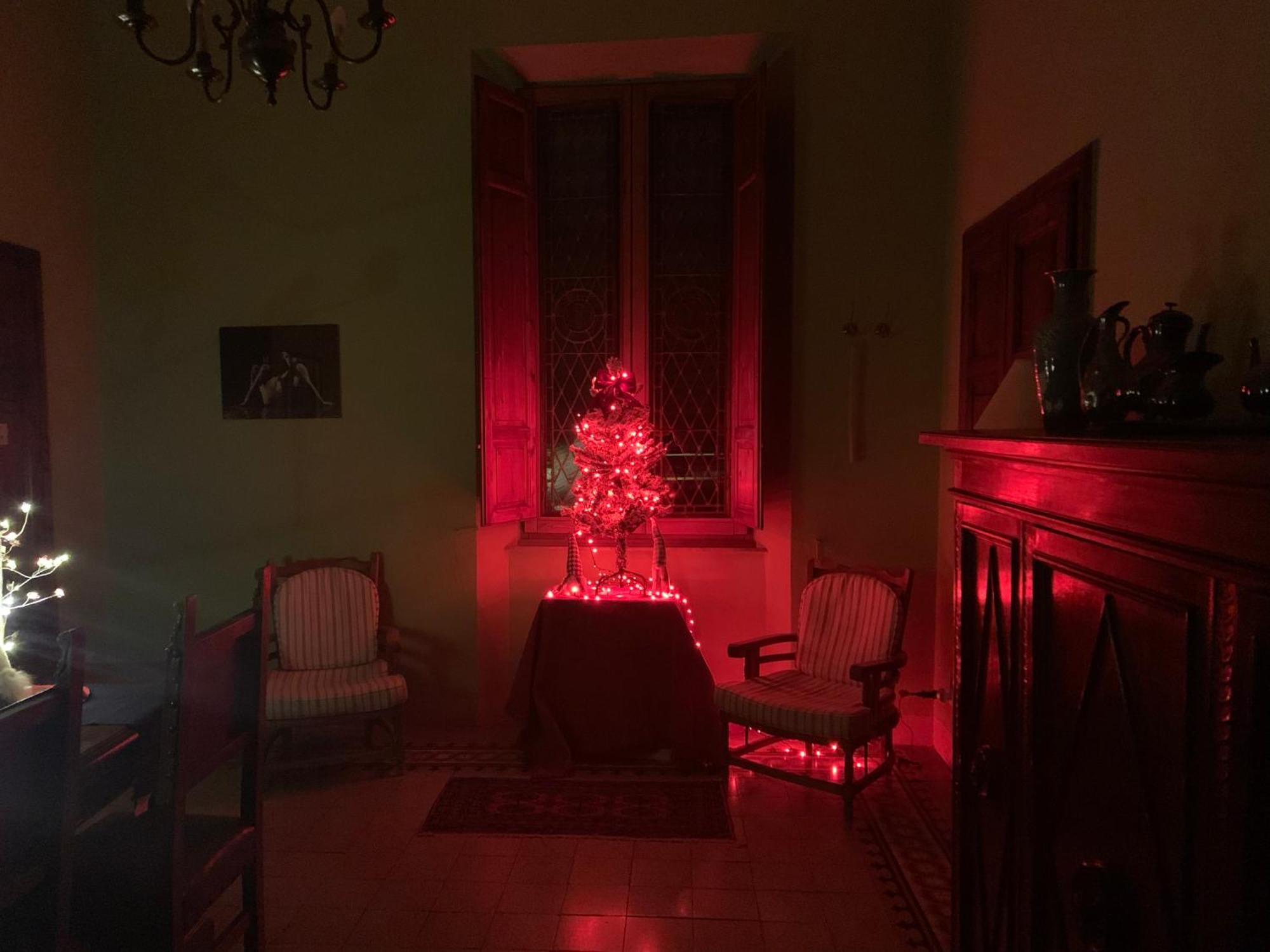 Casa Benvenuti * Pisa