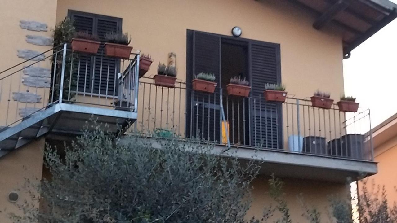 Guest house Made In Pisa