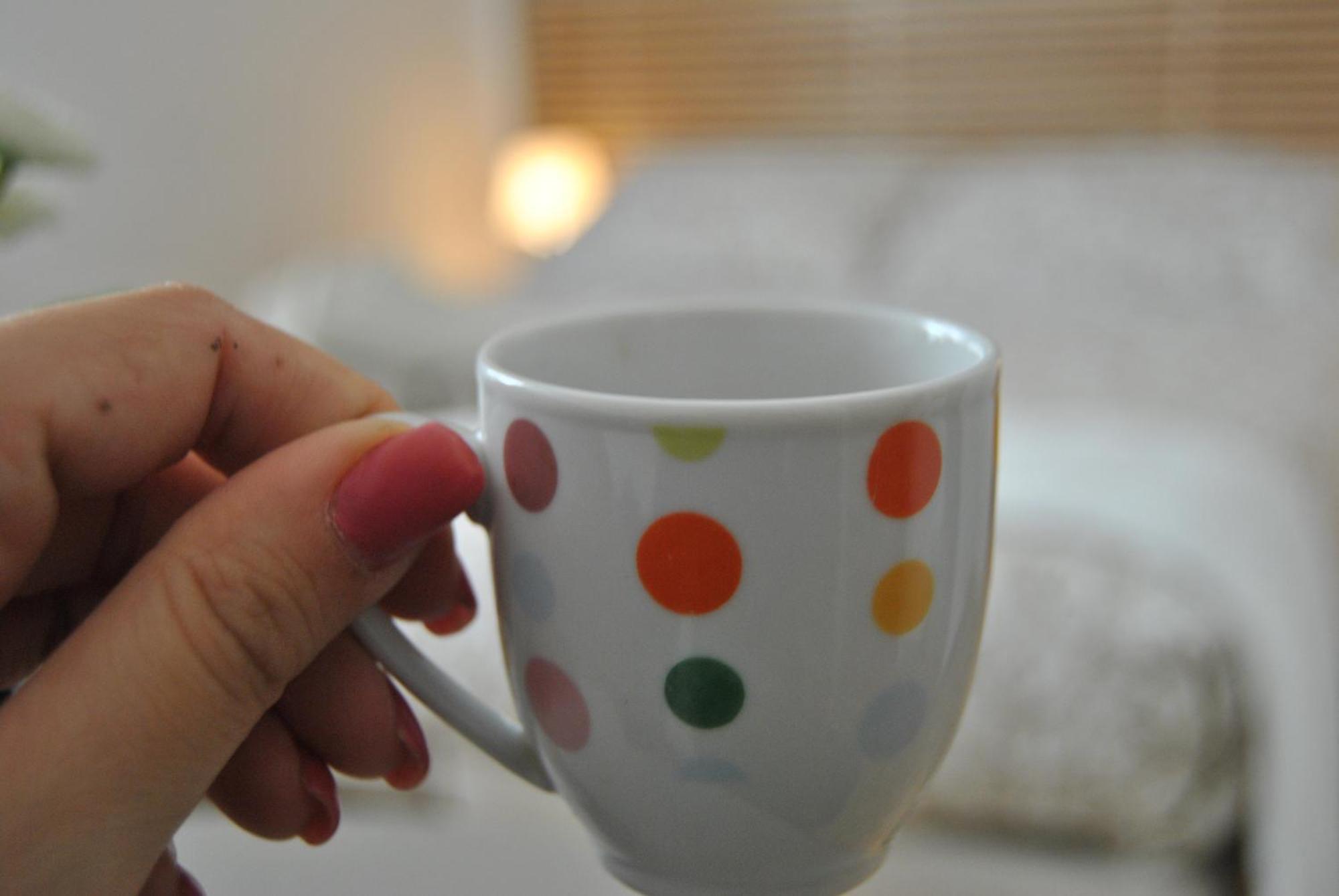 Pisaland Bed & Breakfast