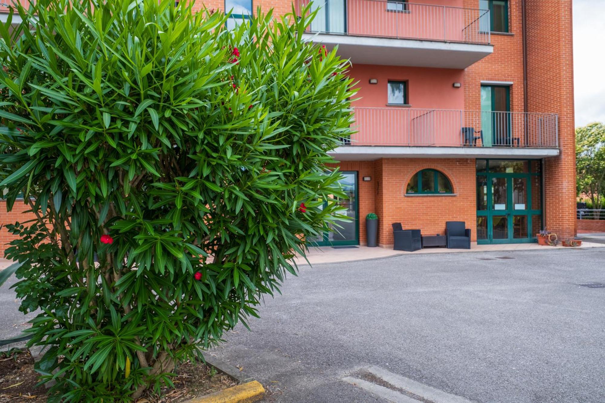 Casa Betania Hotel Pisa