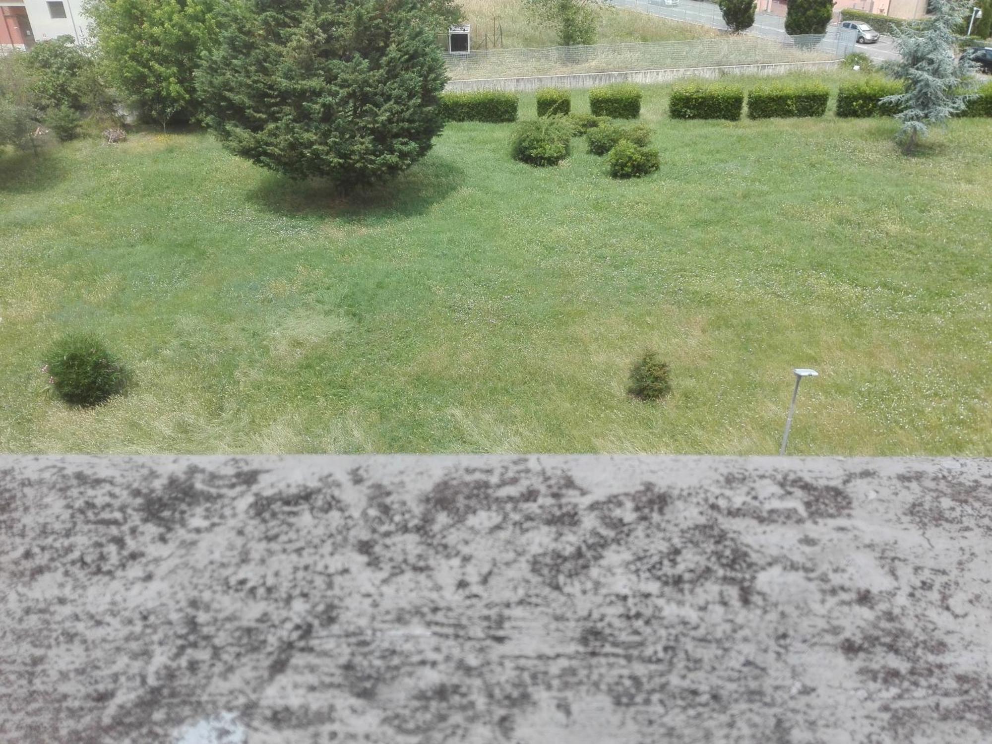 Welchome - Cisanello Apartment *