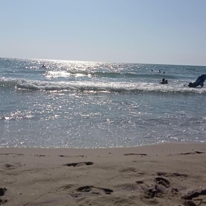 Apartment Casa Amuni' Monolocale A Free Parking Wifi