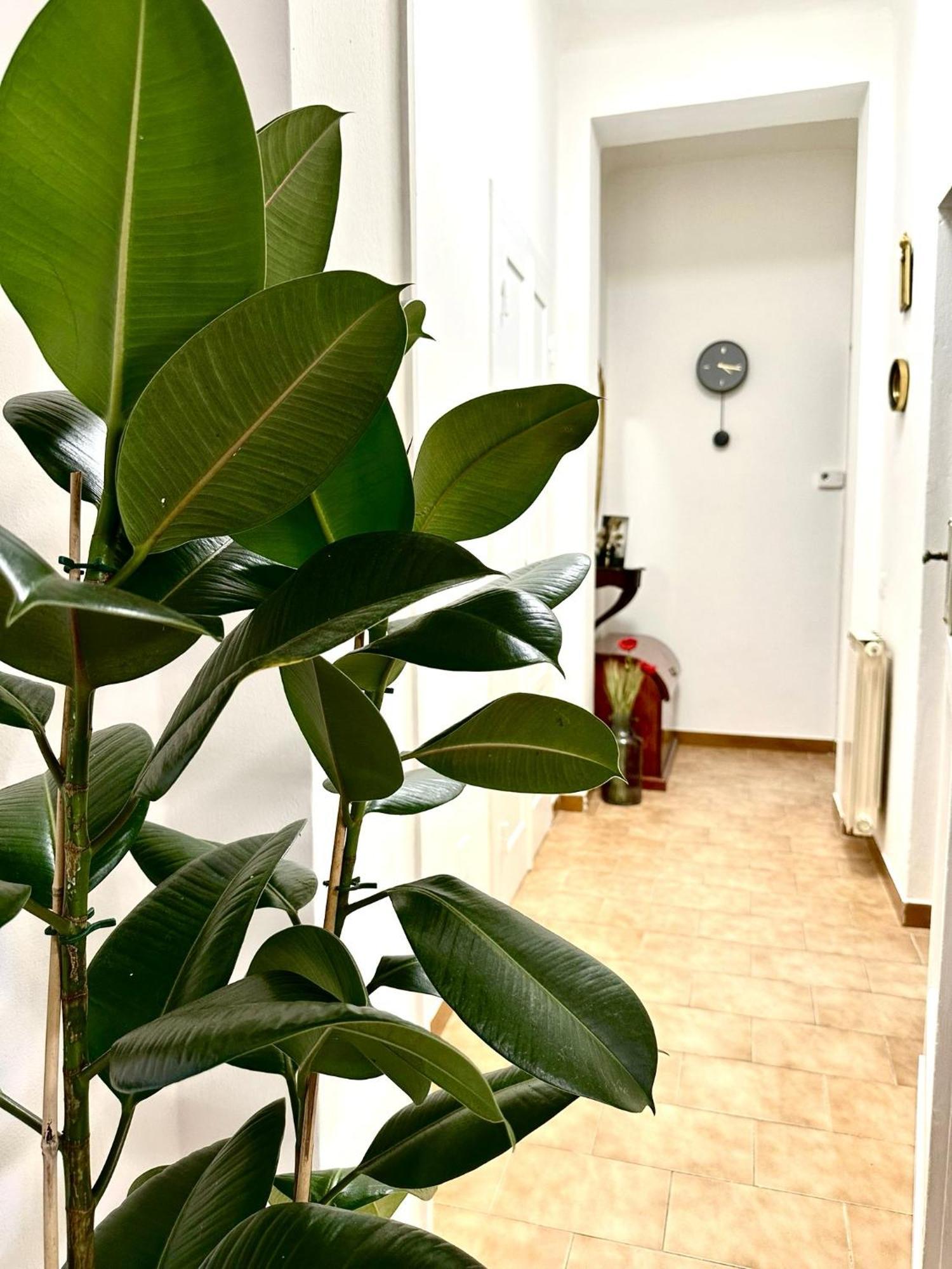 Casa Ganza Vakantiehuis