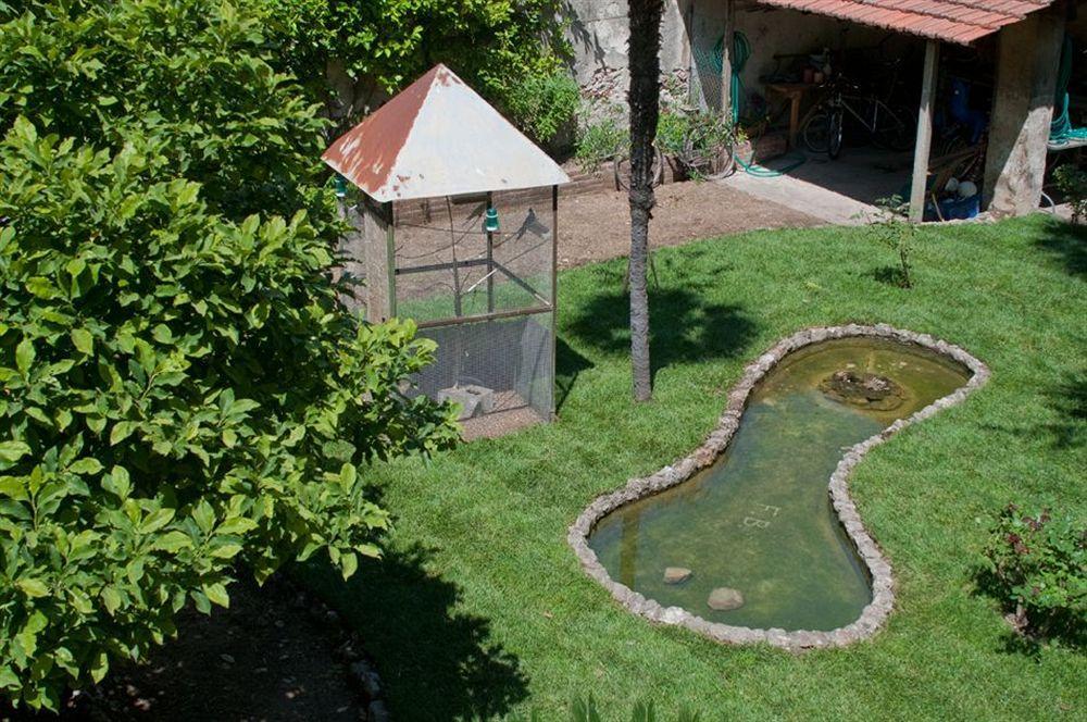 Bed & Breakfast Borgo Largo 51 Pisa