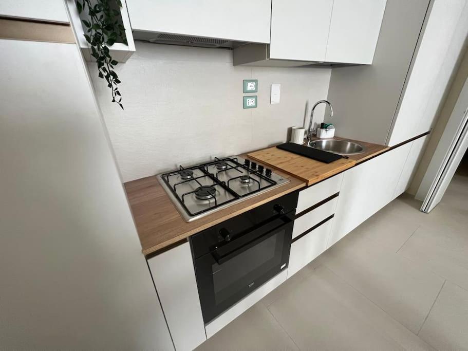 Apartment Homingpisa - Gemini Onetwo - New