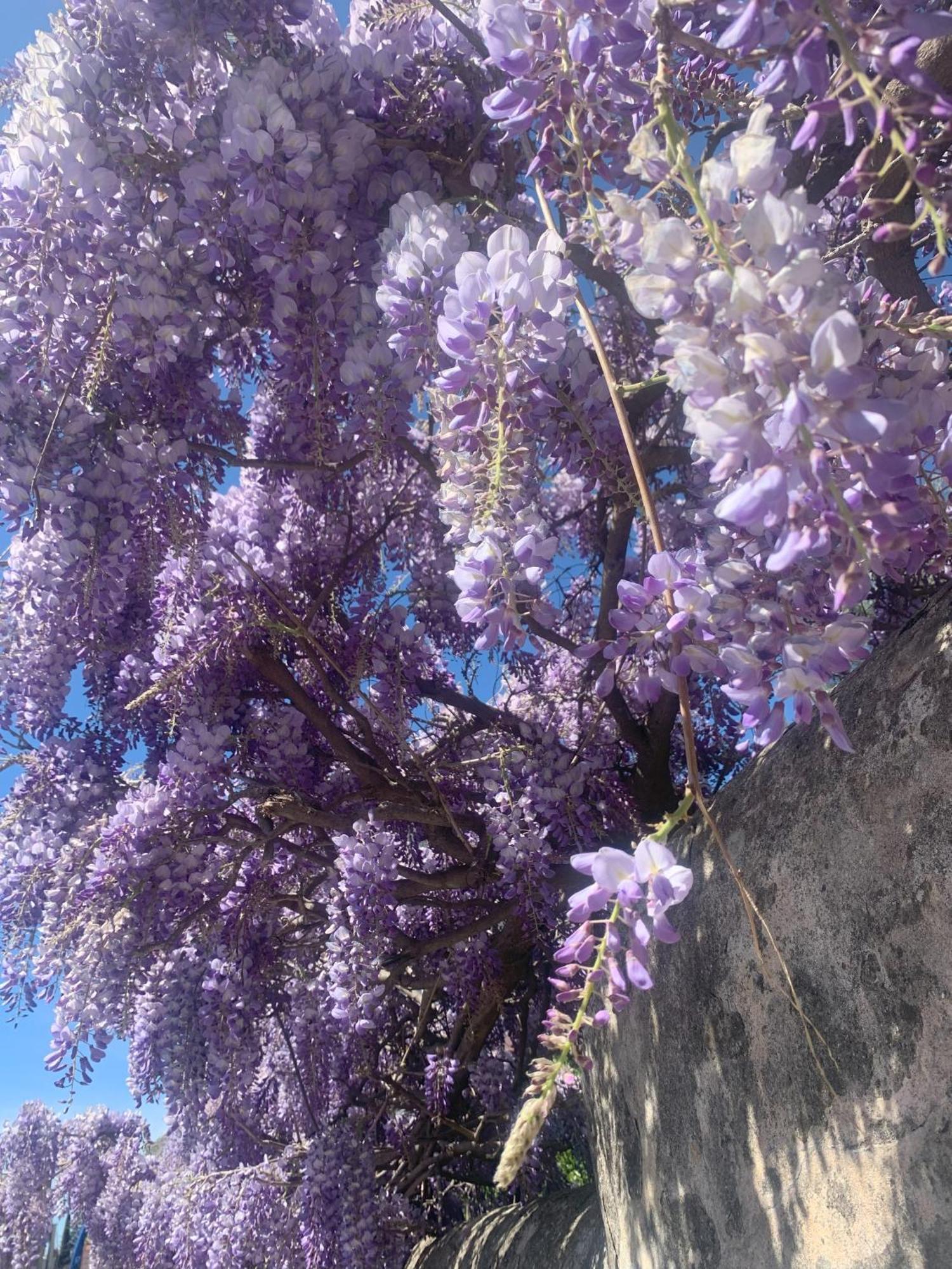 Paradisa28 - Amalfi - Zona Ospedale Cisanello Appartamento