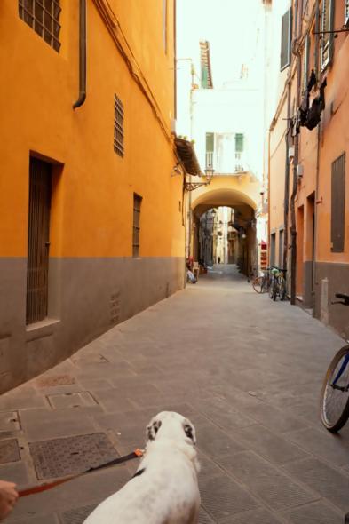 Notari Pisa