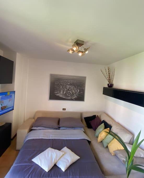 Francishouse-free Parking-close Hospital Cisanello Appartamento Pisa
