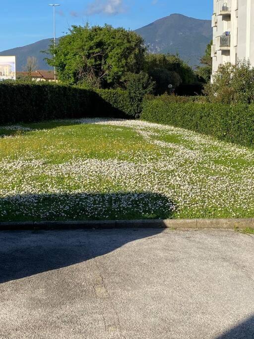 Appartamento Francishouse-free Parking-close Hospital Cisanello Pisa
