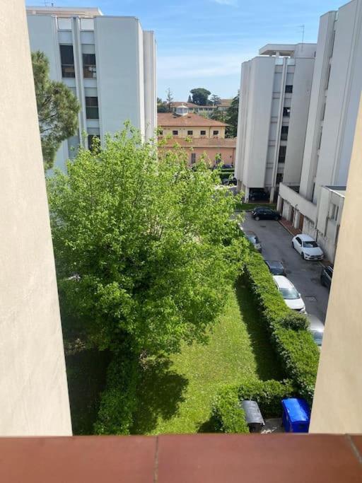 Francishouse-free Parking-close Hospital Cisanello Appartamento *