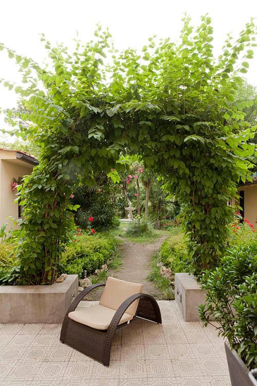 Hotel Novecento