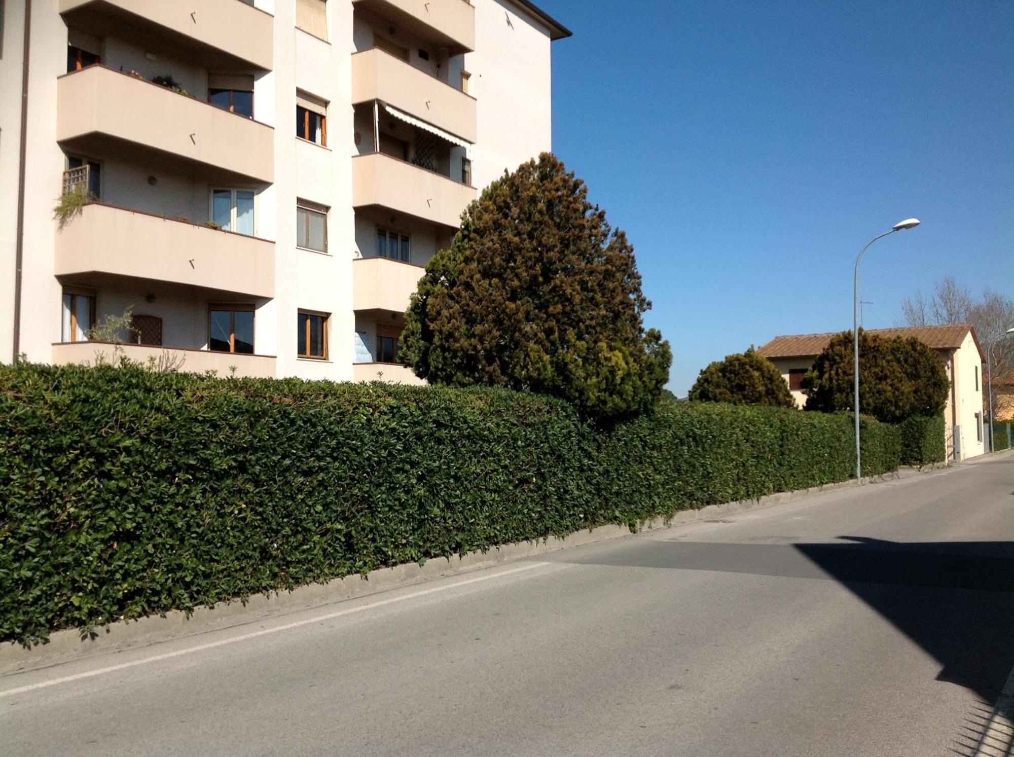 Guest house Cisanello House Pisa