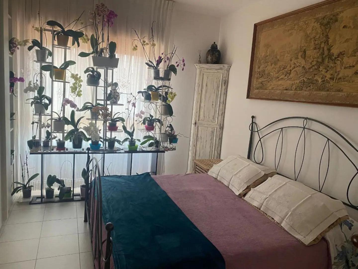 La Casa Di Lu Pisa