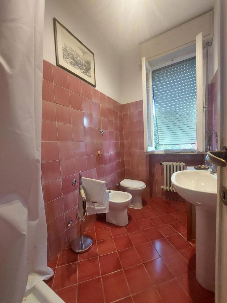 Sauro 43 * Pisa