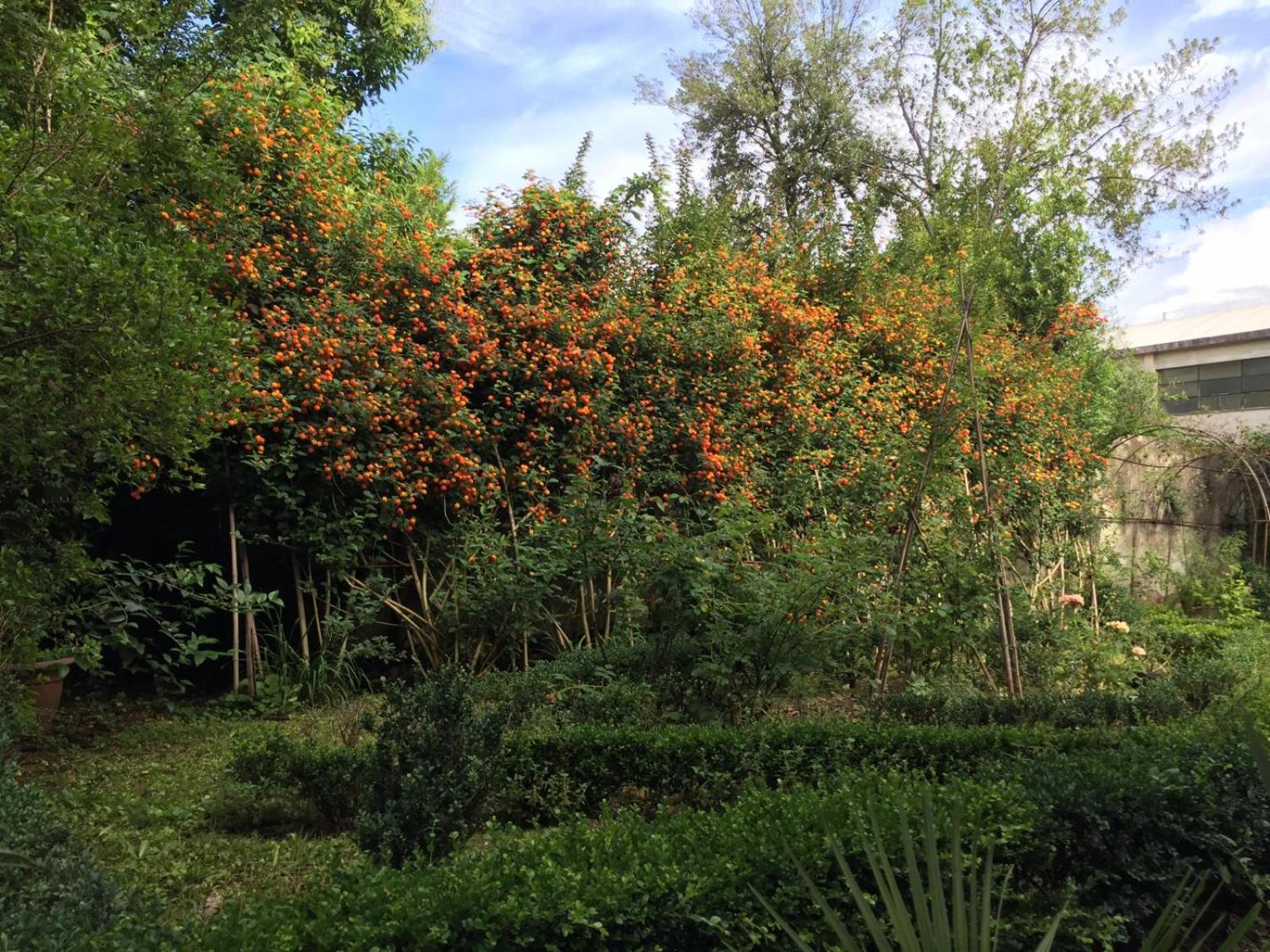 Il Giardino Di San Lorenzo * Pisa
