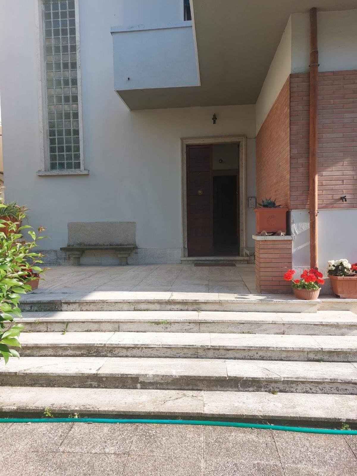 Mehari Pisa