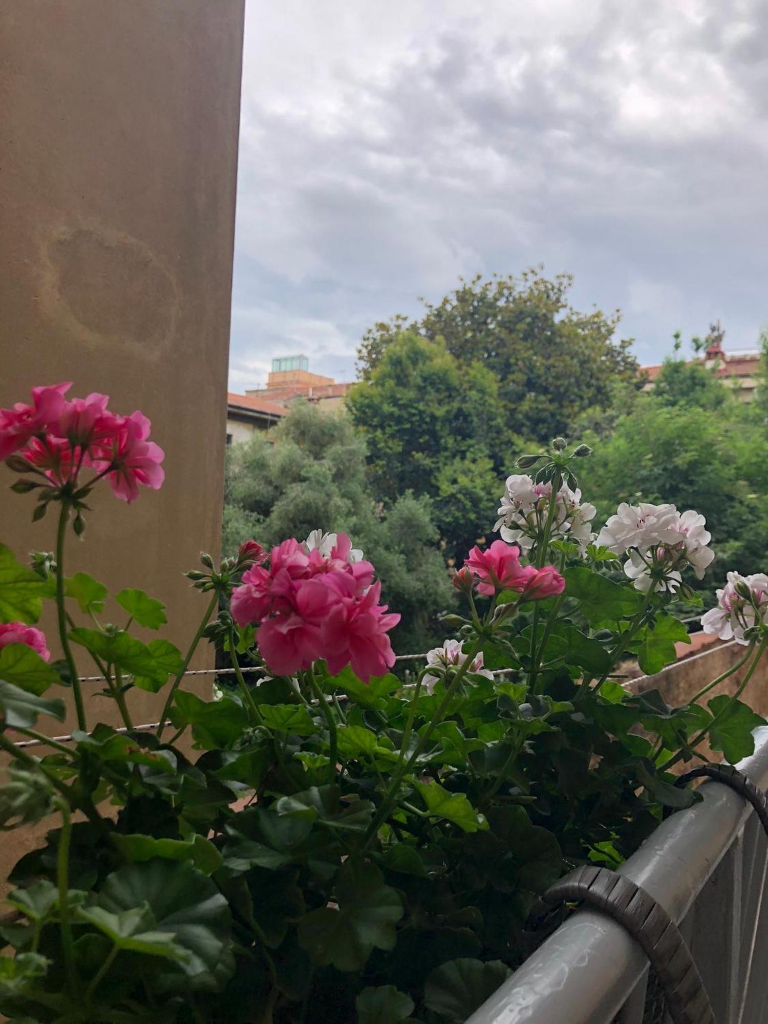 Apartment Sonnino House