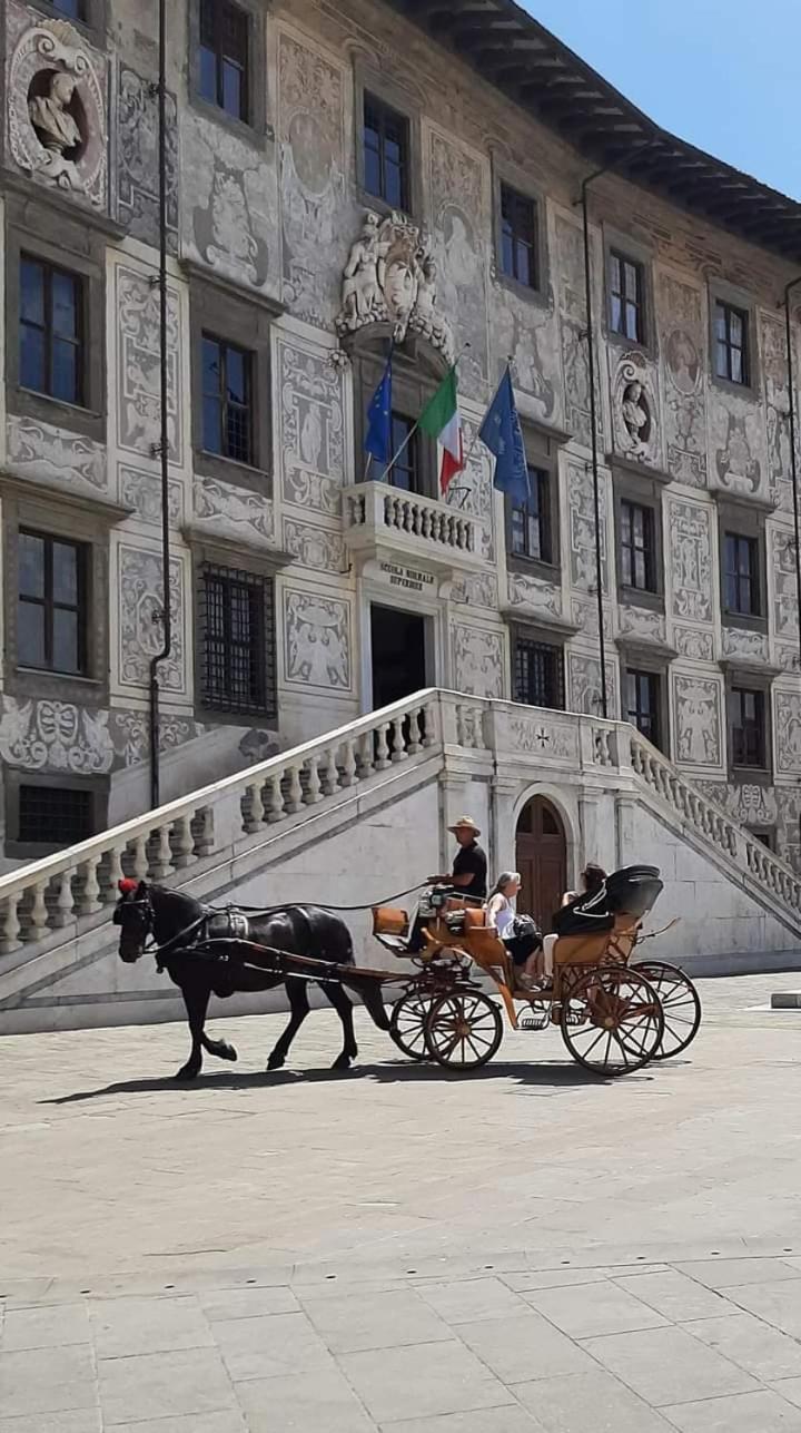 Apartamento Bellavista Pisa