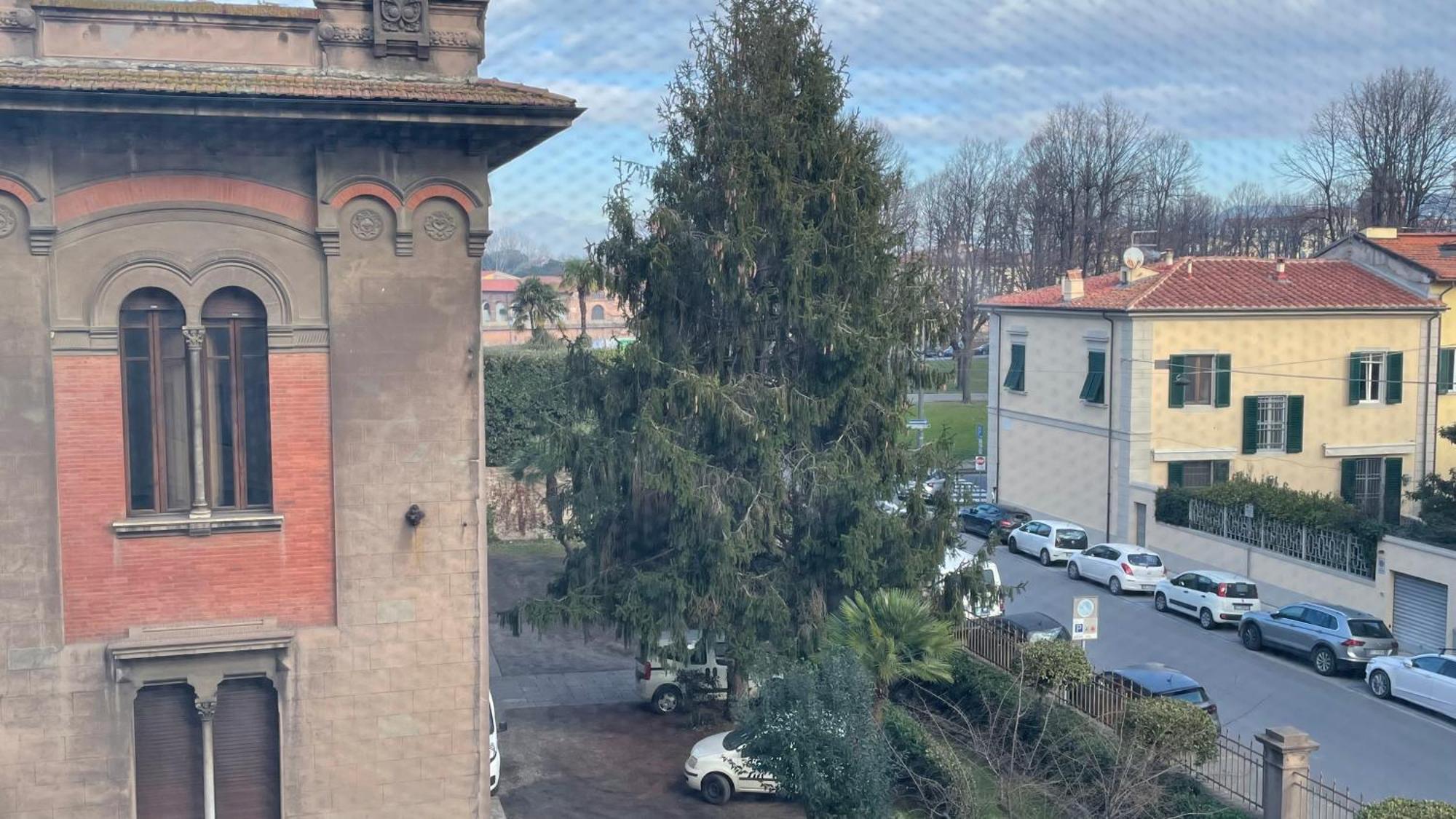 Ampio A Due Passi Dal Lungarno Apartamento Pisa