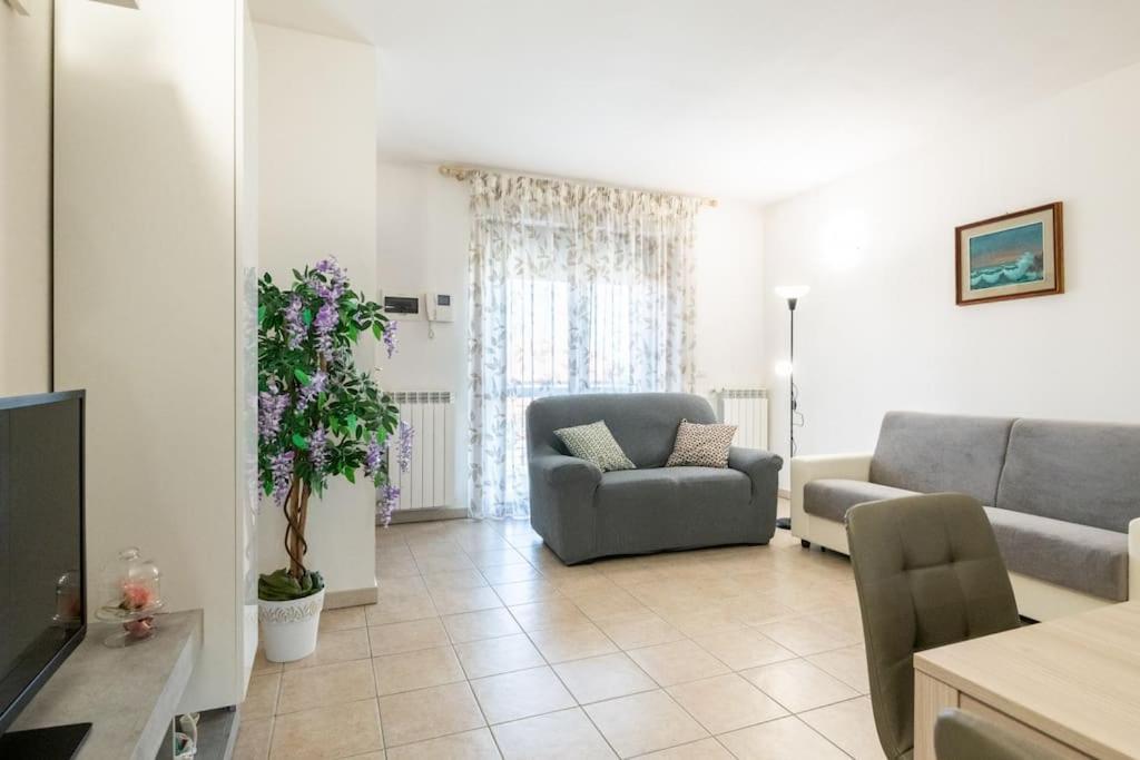 Grace's House Apartment