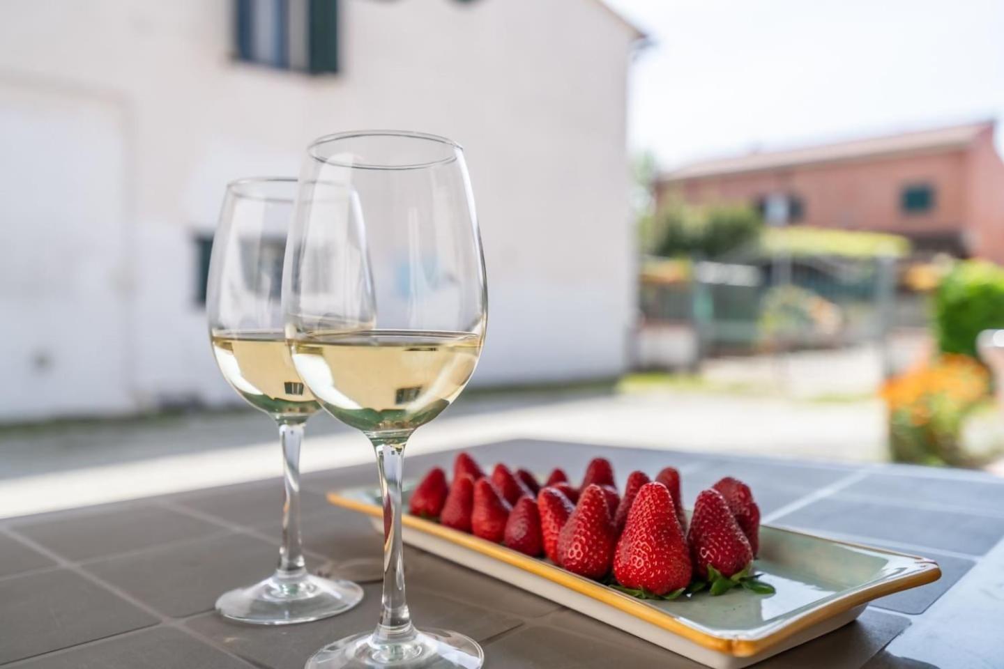 Vakantiehuis Lh Le Calendule Di Cisanello *