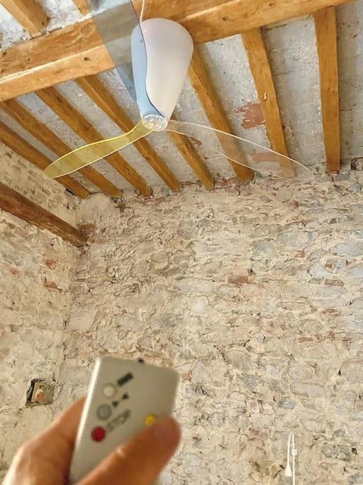 Timeless House Apartment Pisa