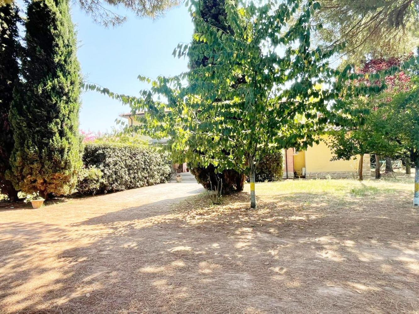 Turfrose Di San Rossore A By Zoom In Earth *