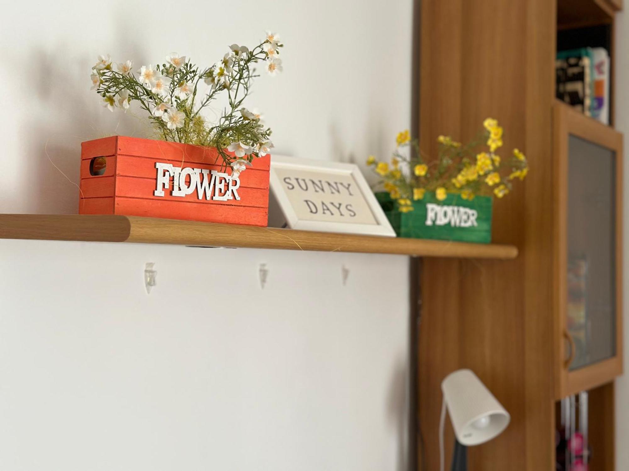 Casa La Coccinella In Cisanello Di Elisa E Fabio