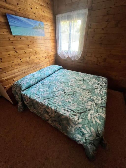 Chalet D'annunzio Chalet