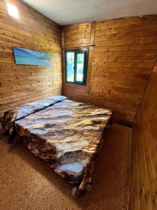 Chalet D'annunzio Chalet