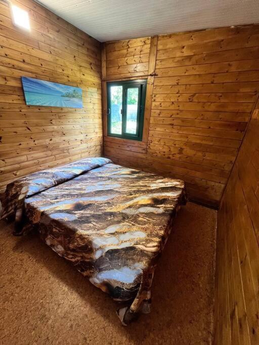 Chalet D'annunzio Chalet
