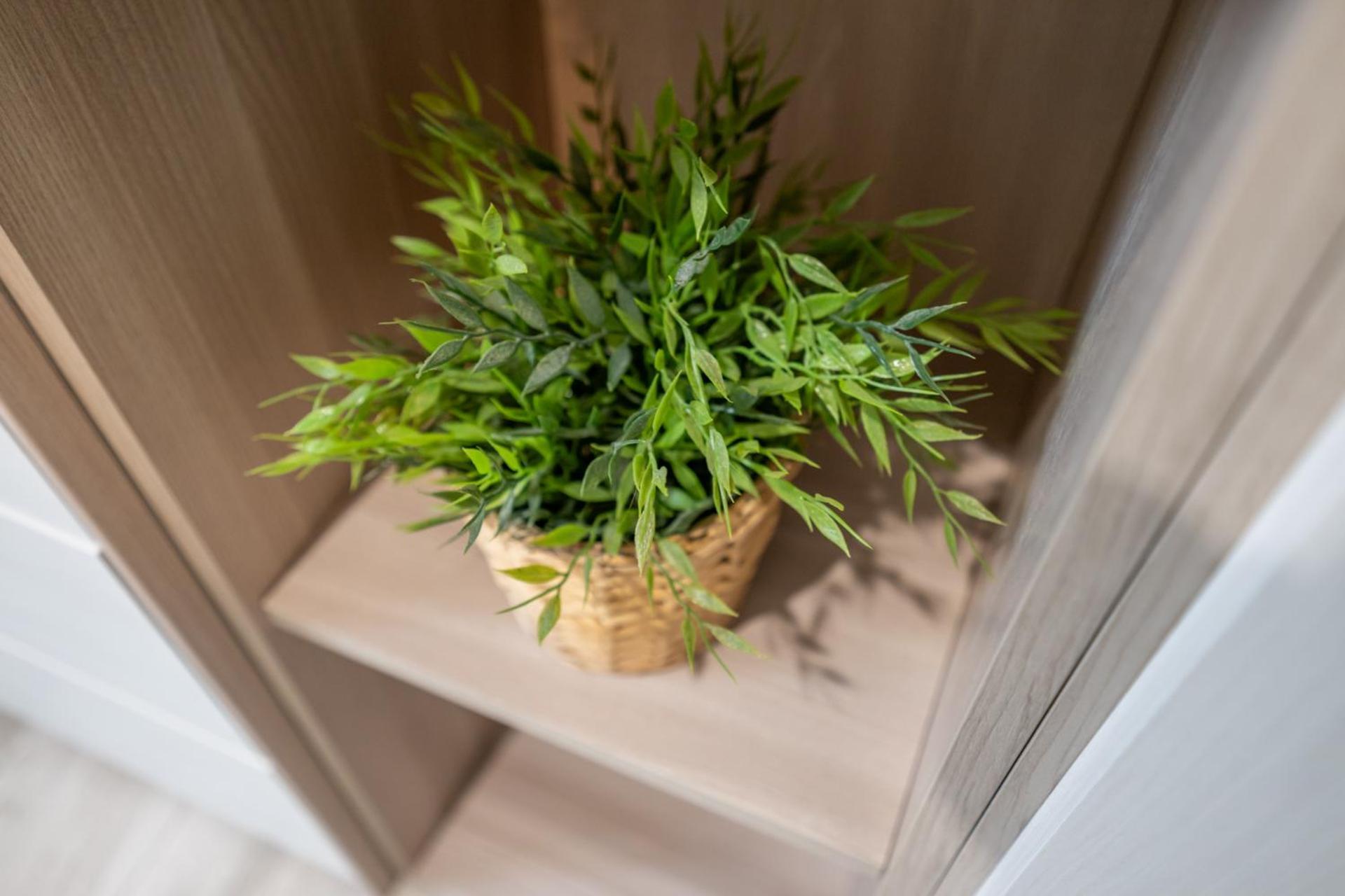 Sage&rosemary - With Garden By Pleiades * Pisa