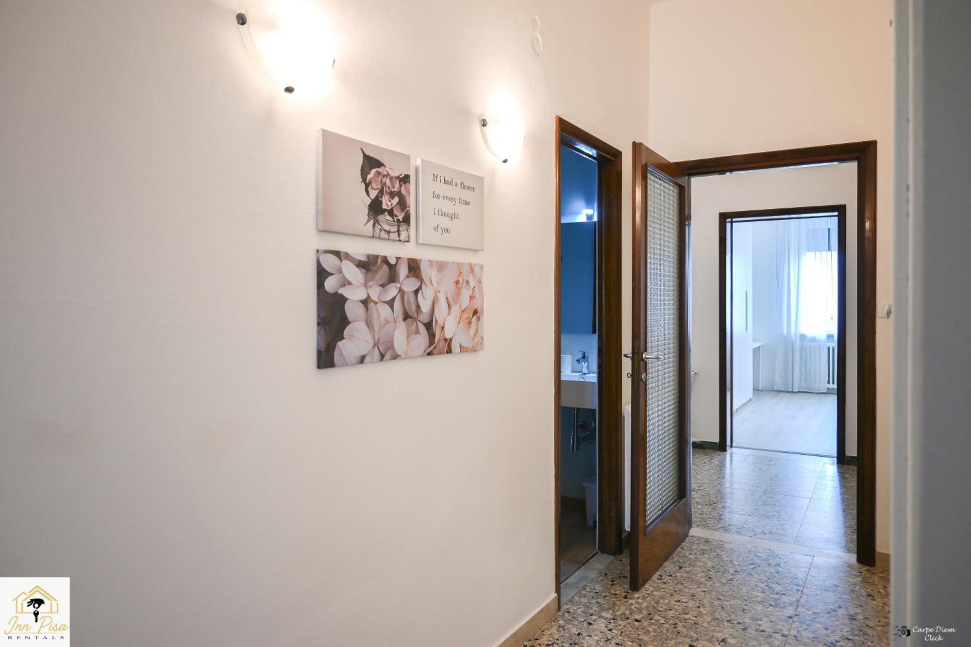 Apartment - The Modern Flat