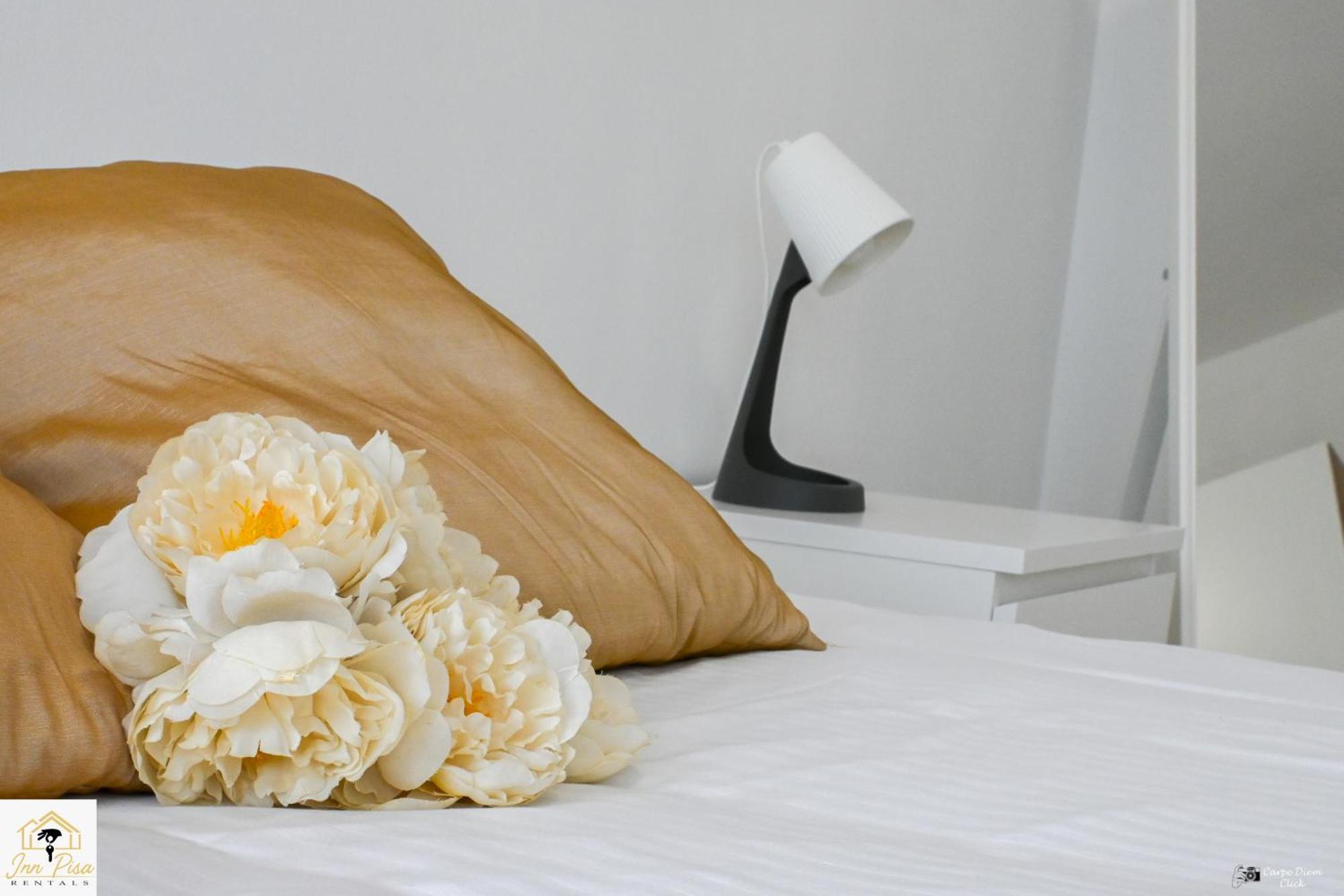 - The Modern Flat Apartment