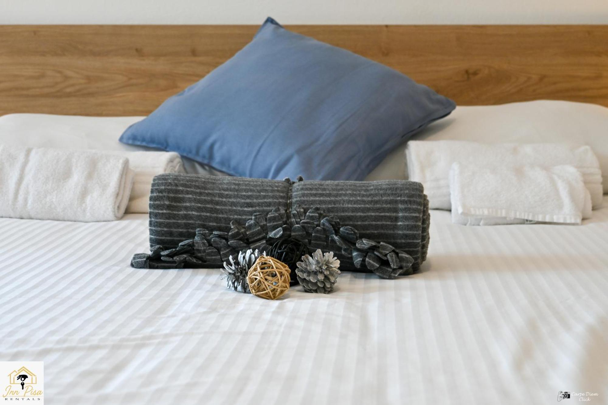 - The Modern Flat Apartment Pisa
