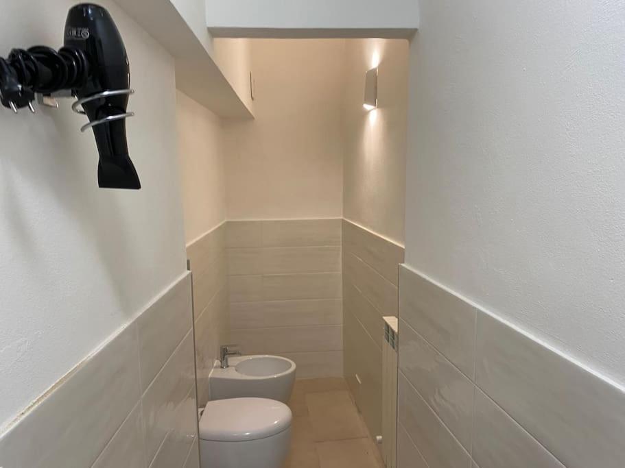 -sant Andrea Apartment- Appartamento Pisa
