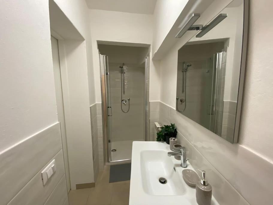 -sant Andrea Apartment- Pisa
