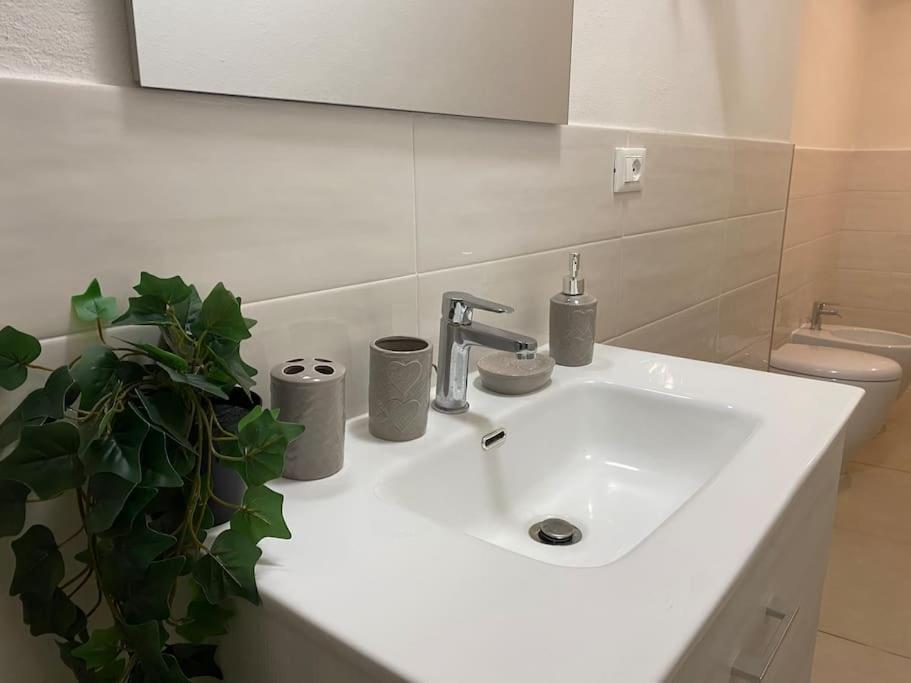 -sant Andrea Apartment- * Pisa