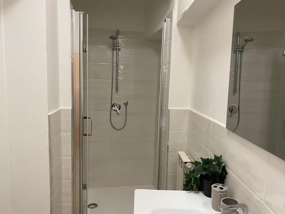 -sant Andrea Apartment- Appartamento Pisa