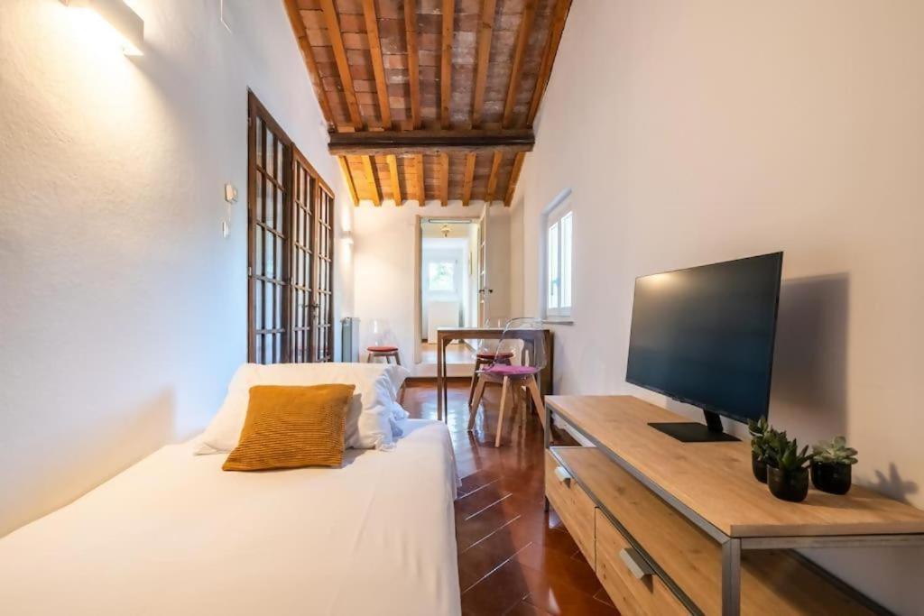 Lh The Rose Tower View Apartment Pisa