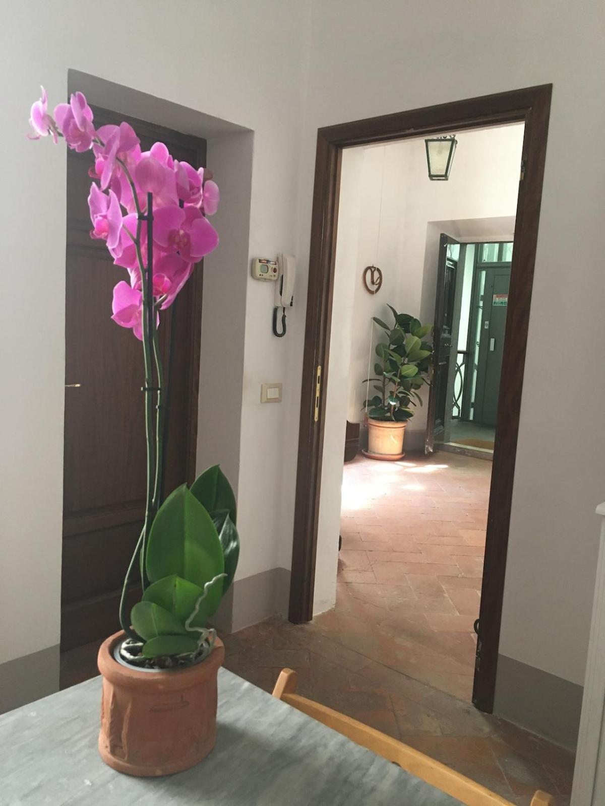 Apartamento Casa E Risorgimento Pisa