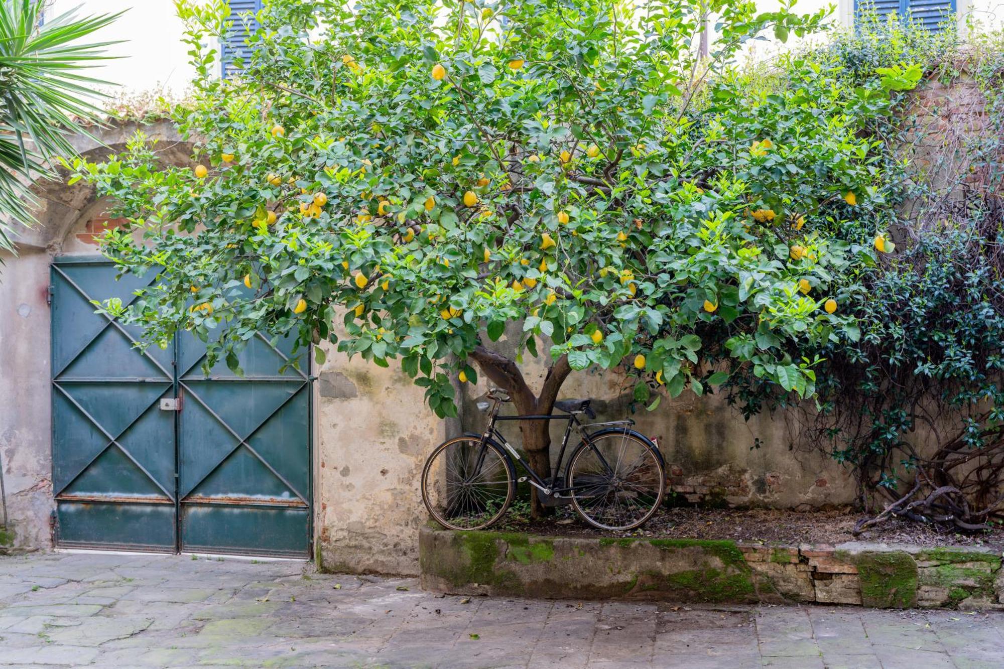 Via Corsica 10 Bed & Breakfast