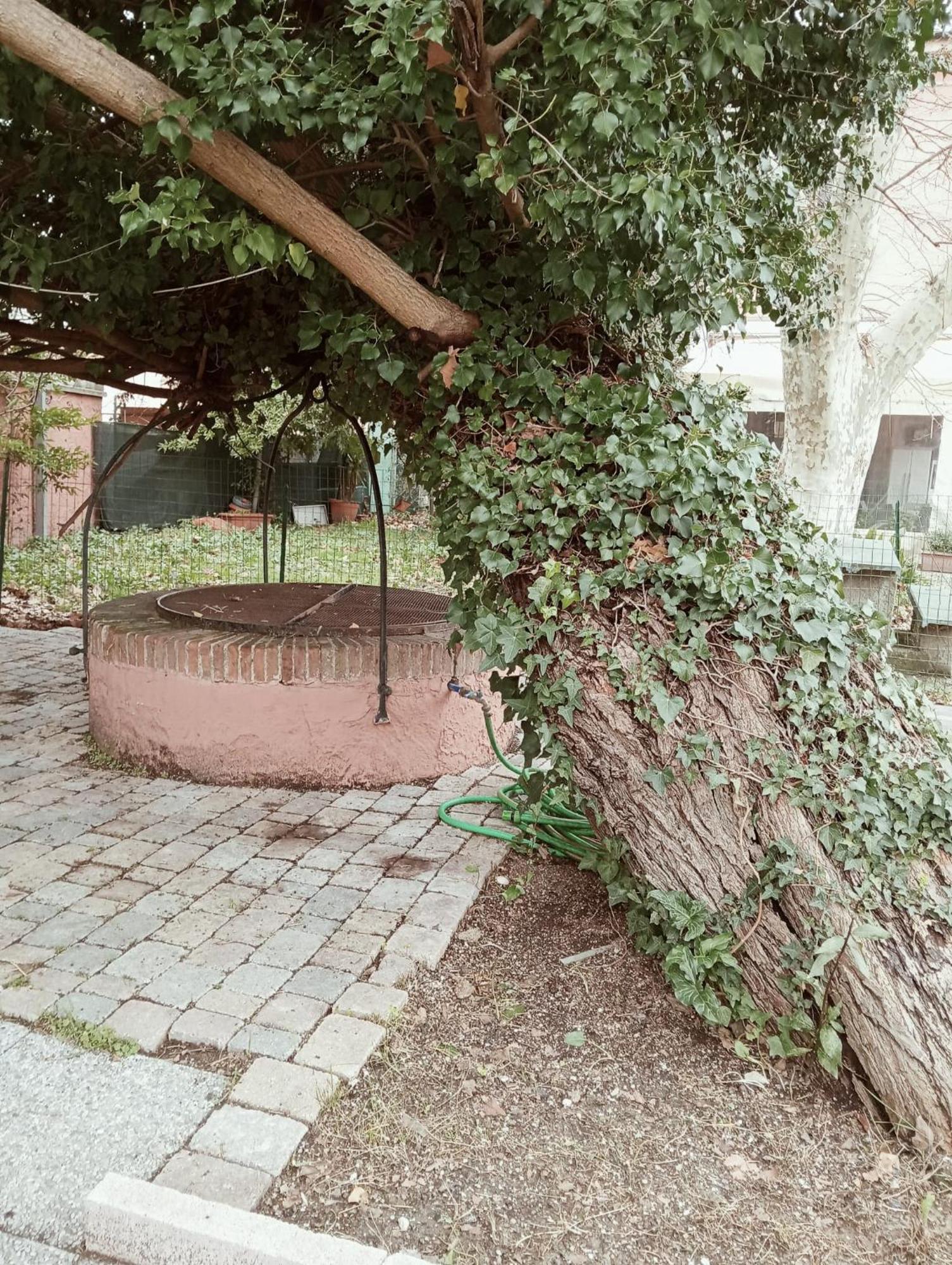 Dimora Del Conte Bed & Breakfast *