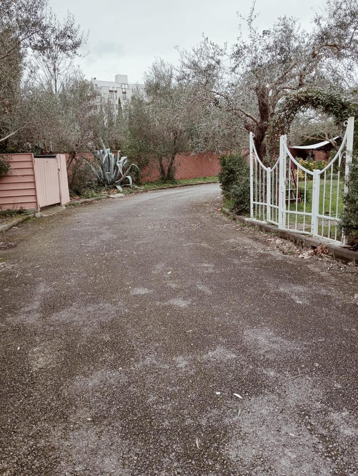 Dimora Del Conte Pisa