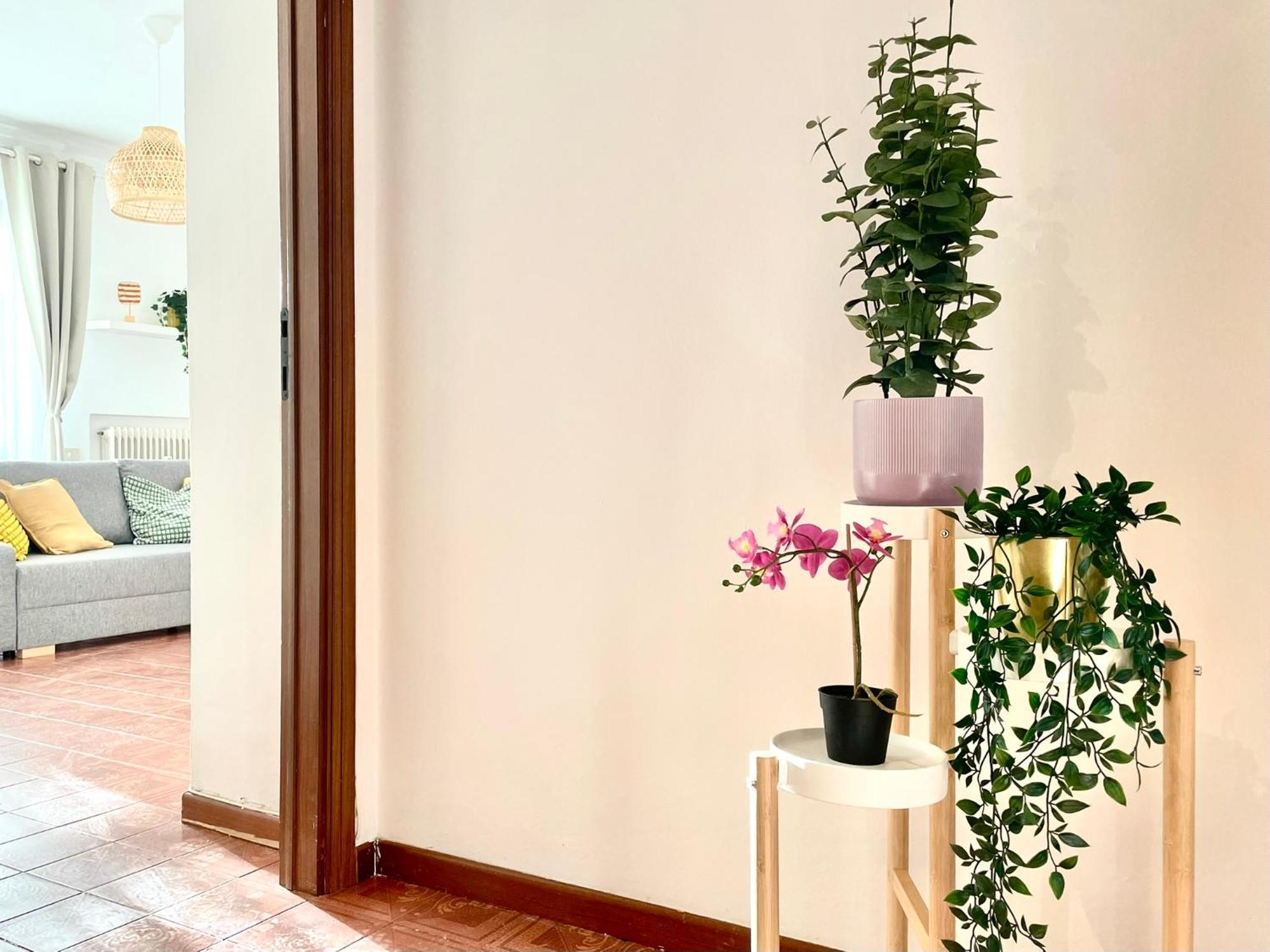 2 Camere, Parcheggio, Balconi, Vicino Al Centro Apartment Pisa