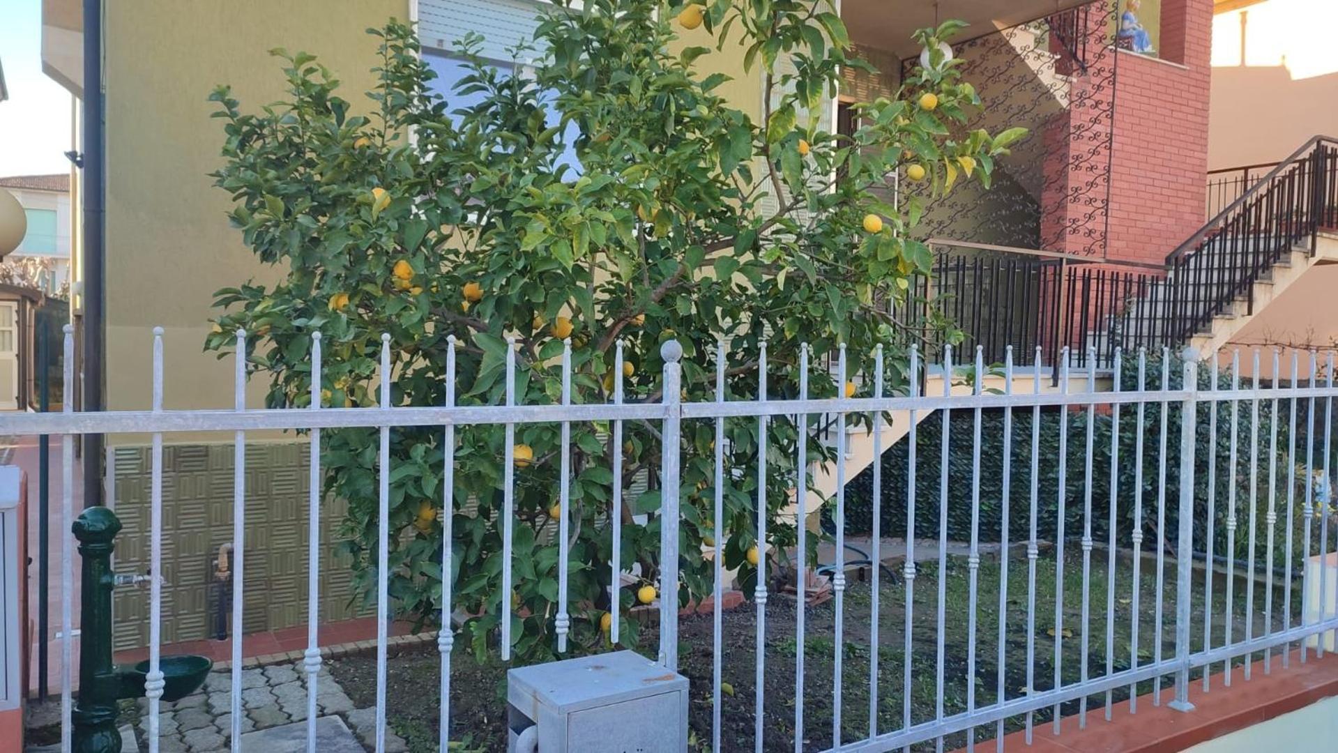 Apartment La Verdina Cnr Pisa