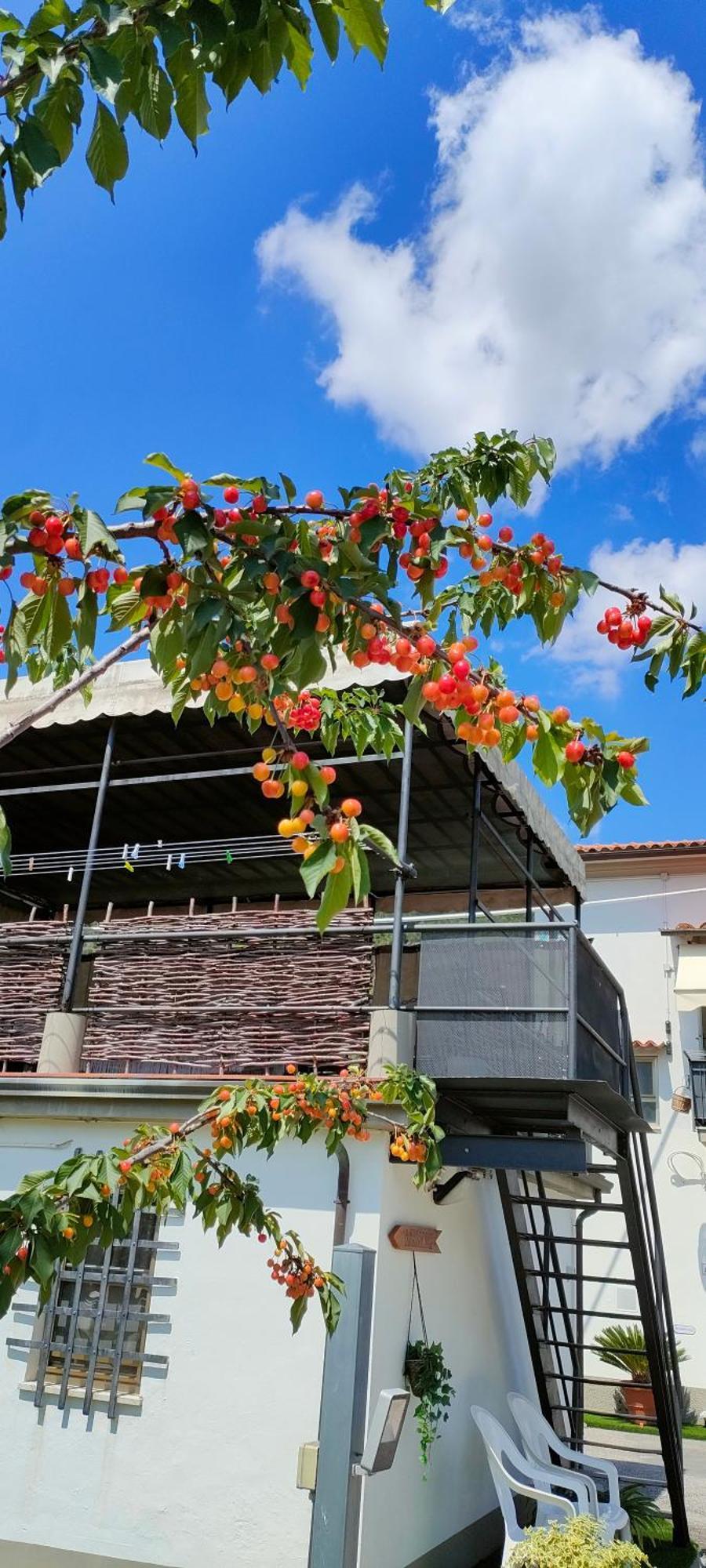 La Tenuta Di Eva